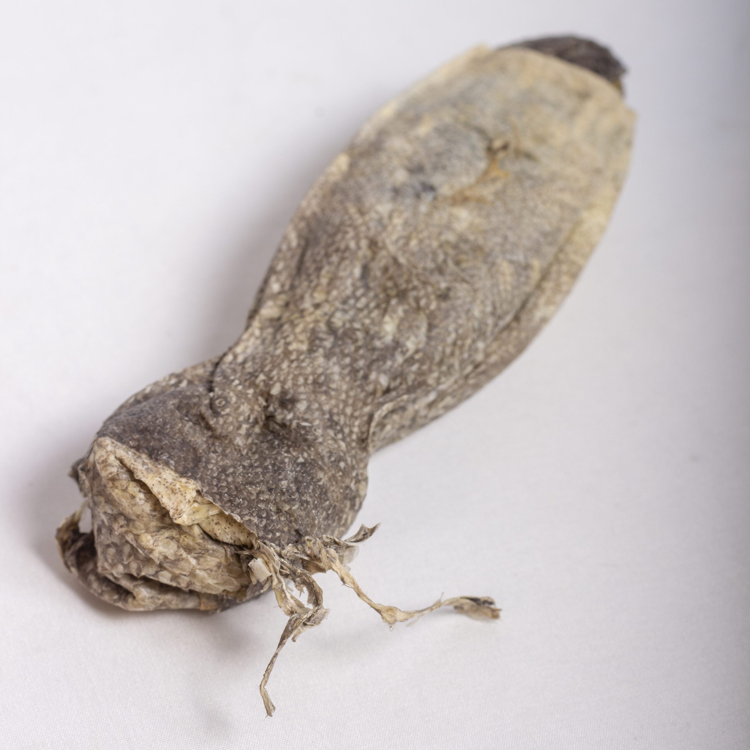 Cod Skin Chew image 3