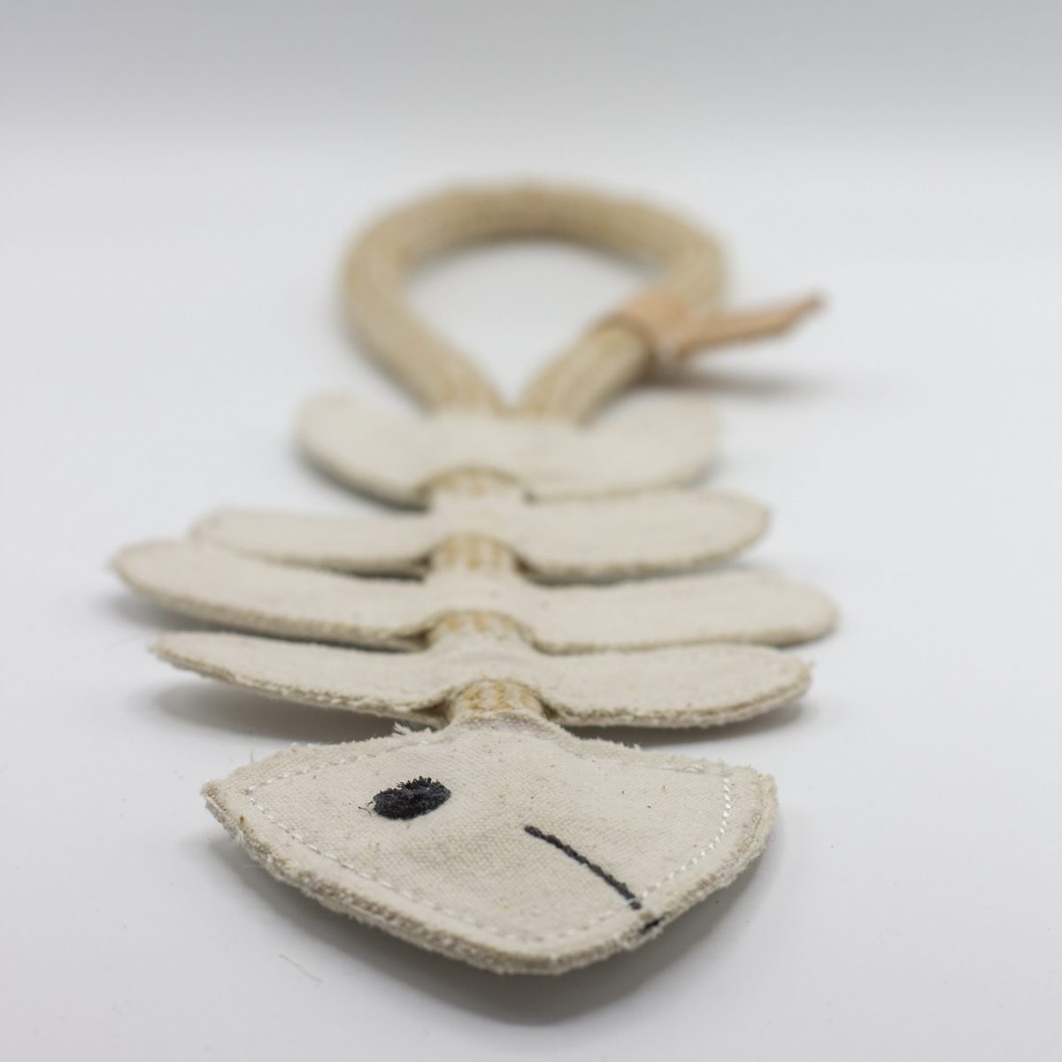 Thin Lizzie the Bonefish image 2