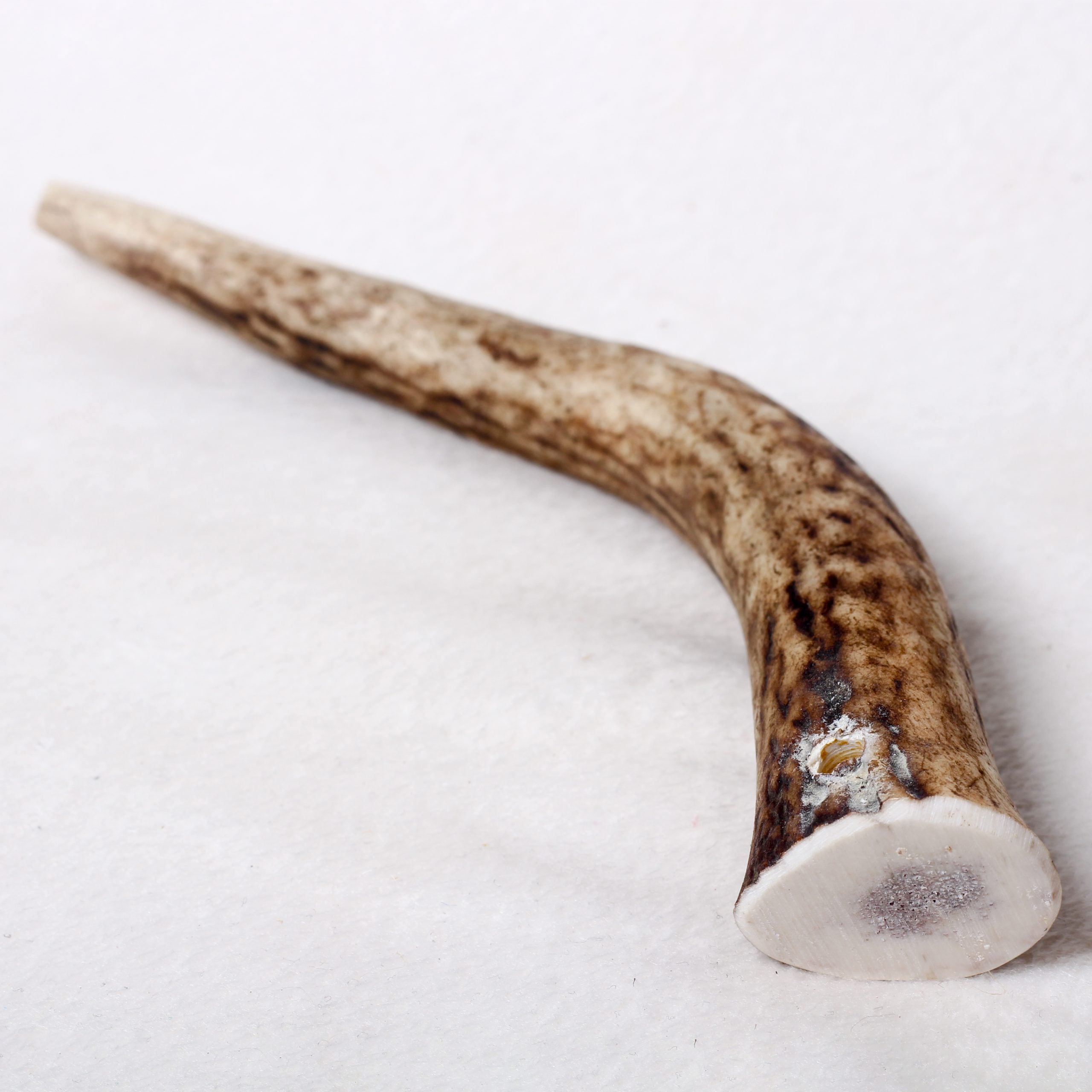 Original Antler Dog Chew image 6