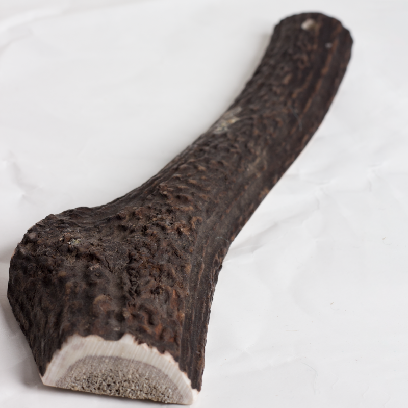Easy Antler Chew image 4