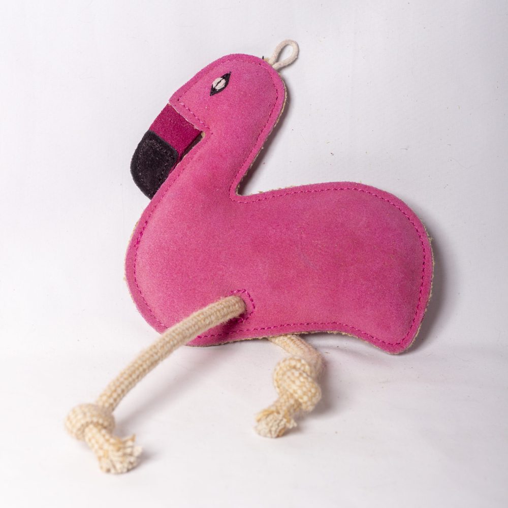 Floyd the Flamingo image 0