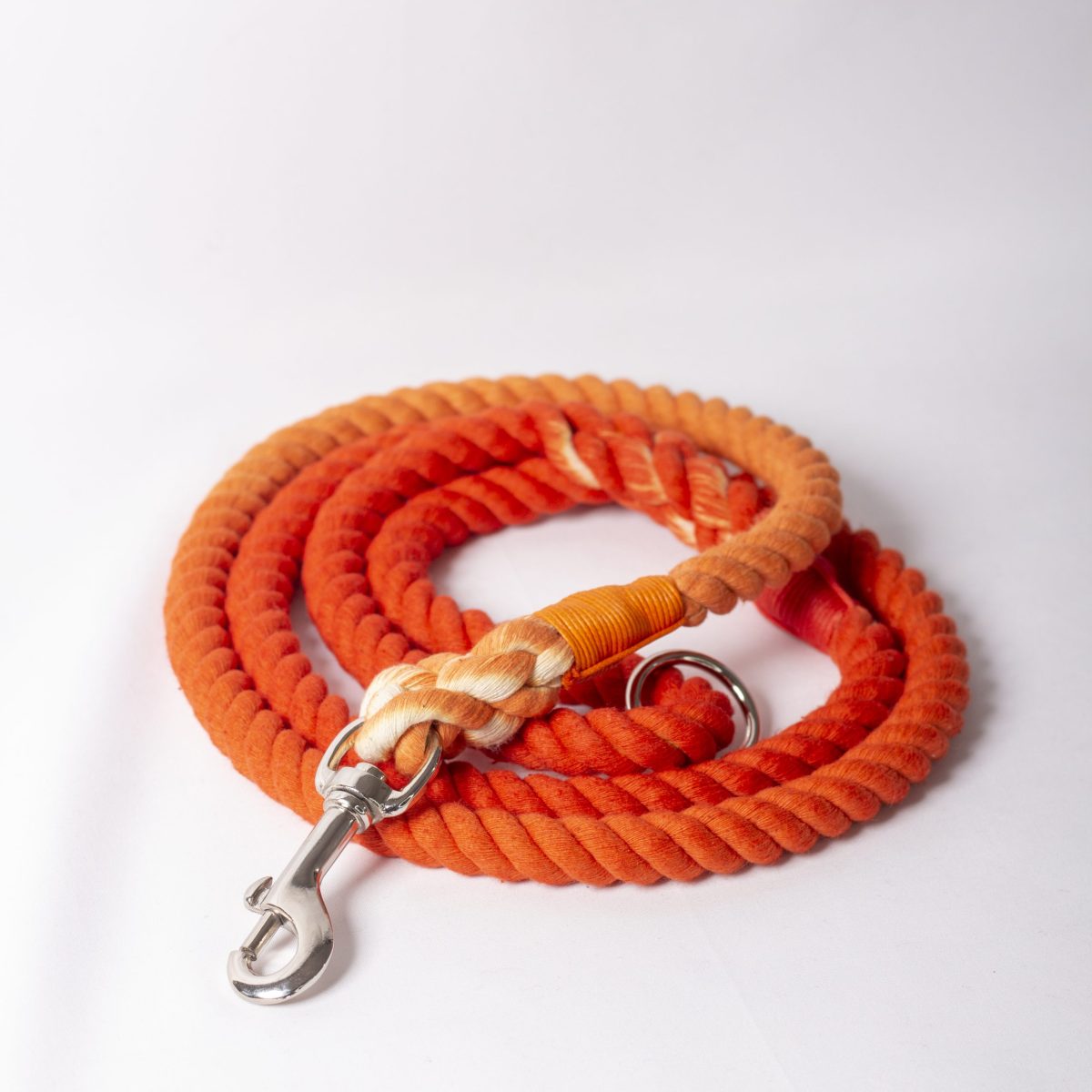 Rope Lead - Pumpkin Spice image