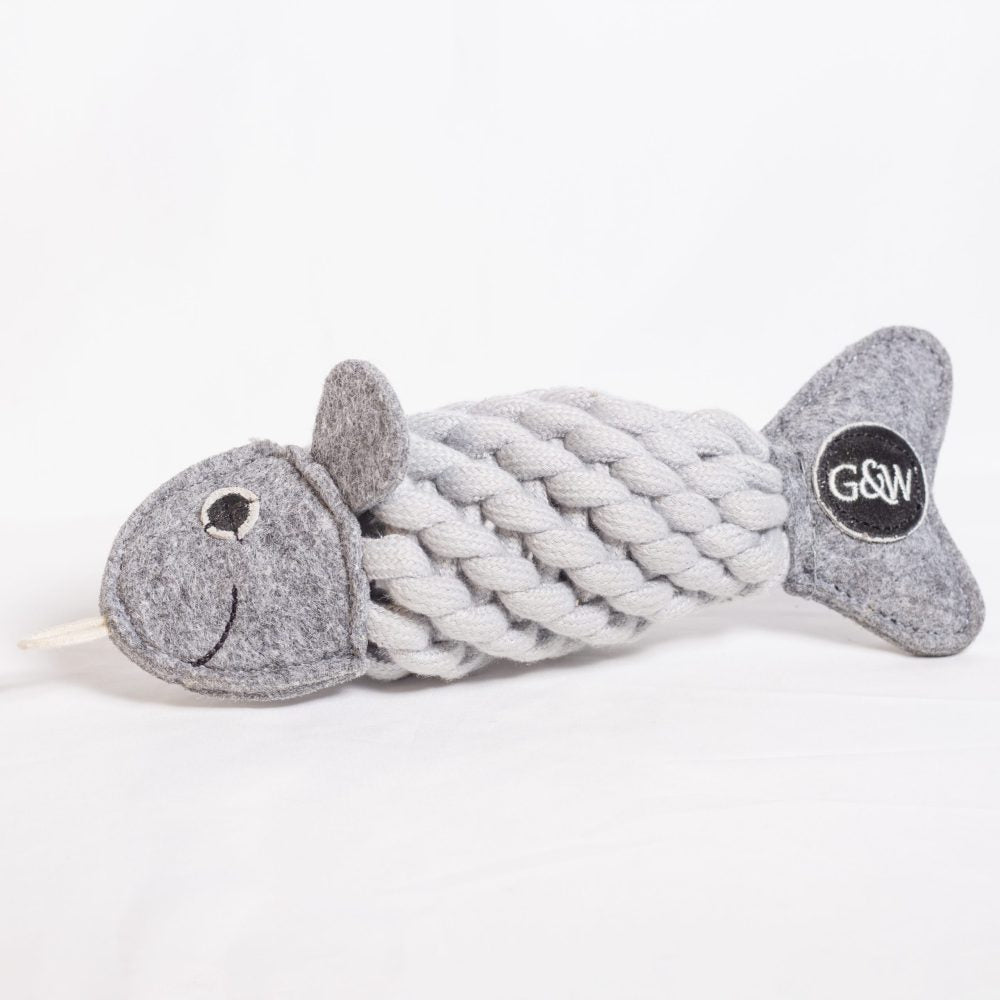 Roger the Ropefish image 0