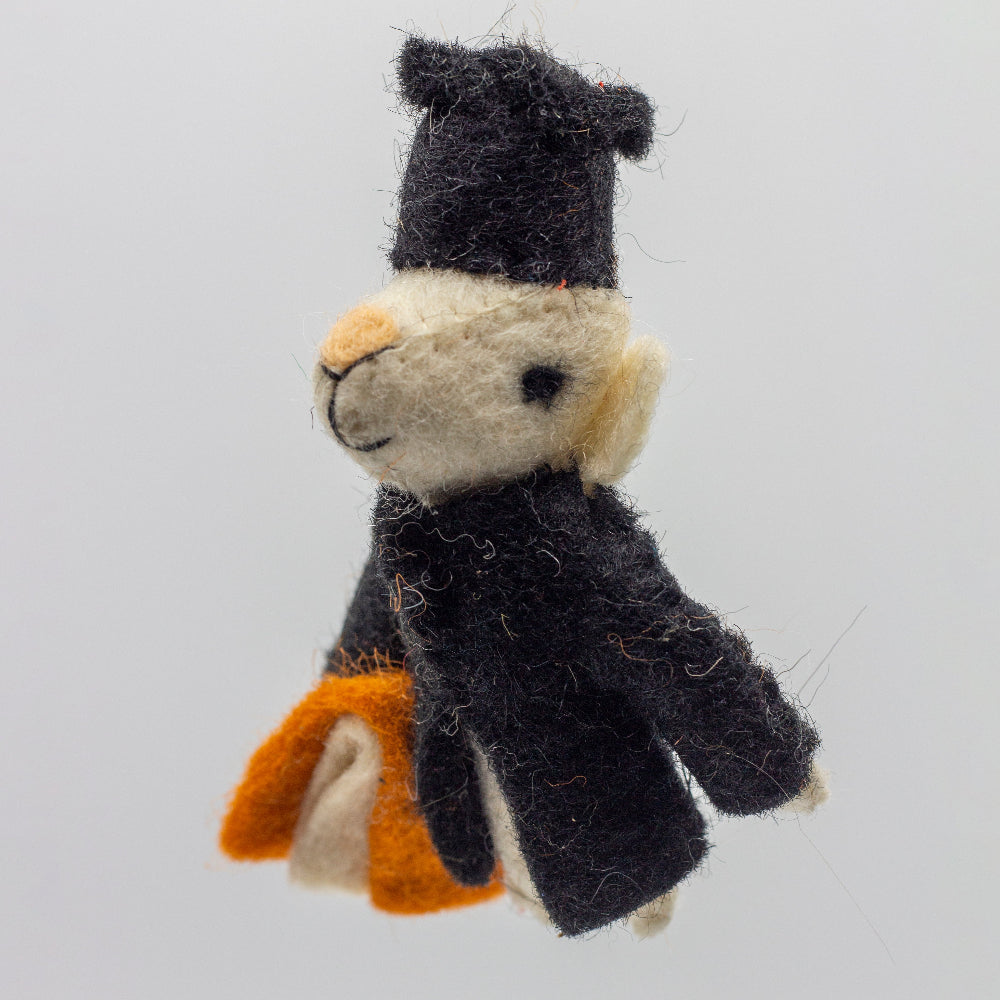 catnip mouse toy