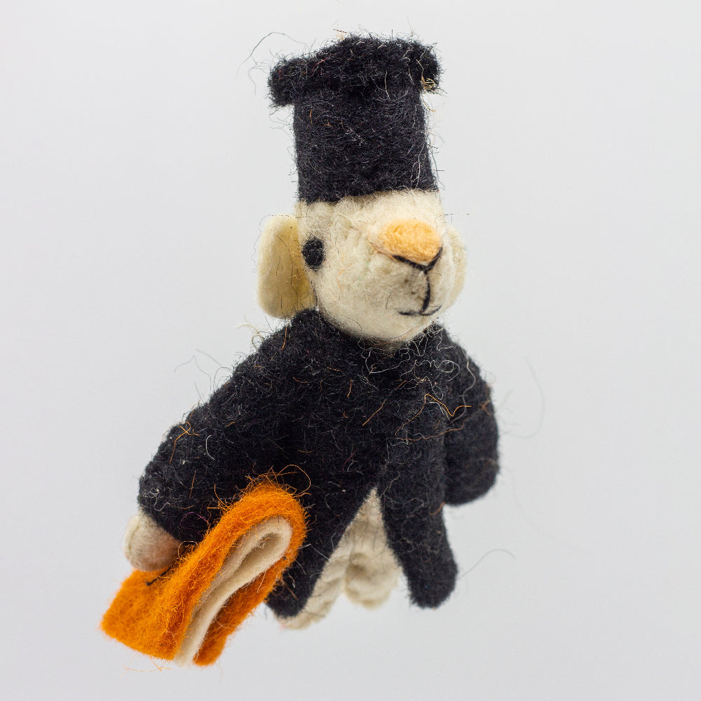 catnip mouse toy