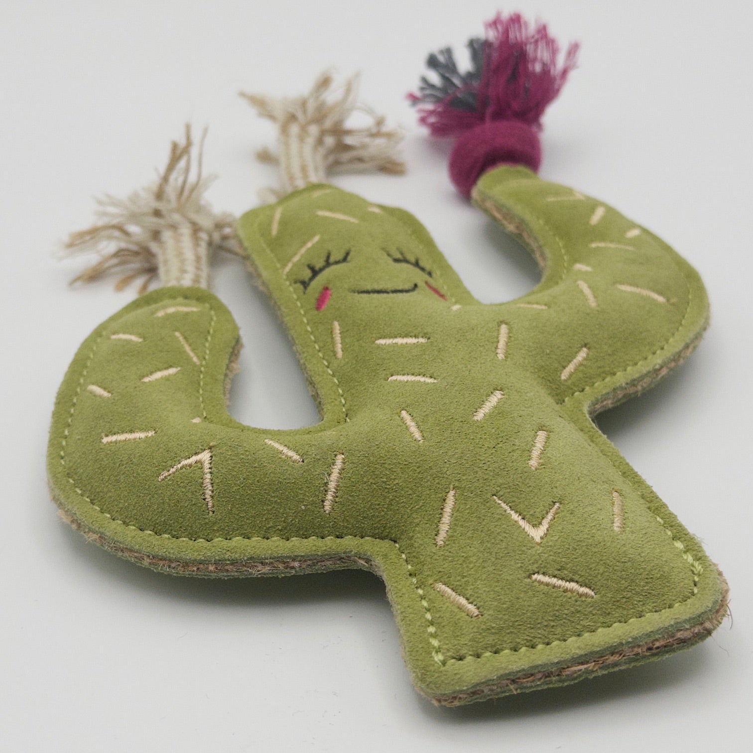 Green cactus-shaped dog toy with a smiling face