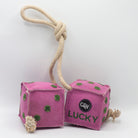 Pink dice-shaped horse and dog toy with green numbers and a rope