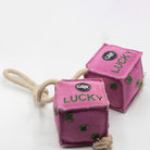 Pink dice-shaped horse and dog toy with green numbers and a rope