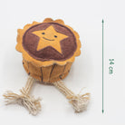 Christmas dog toy the shape of a mince pie