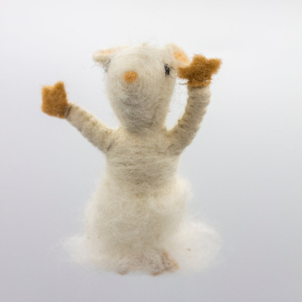 Catnip mouse toy