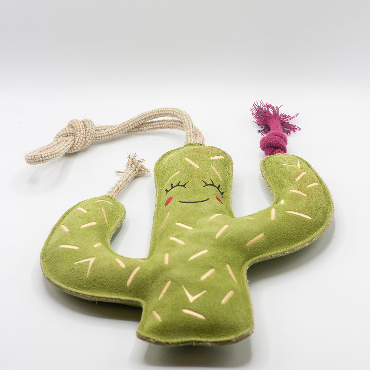 Green cactus-shaped dog toy with a smiling face - green and wilds