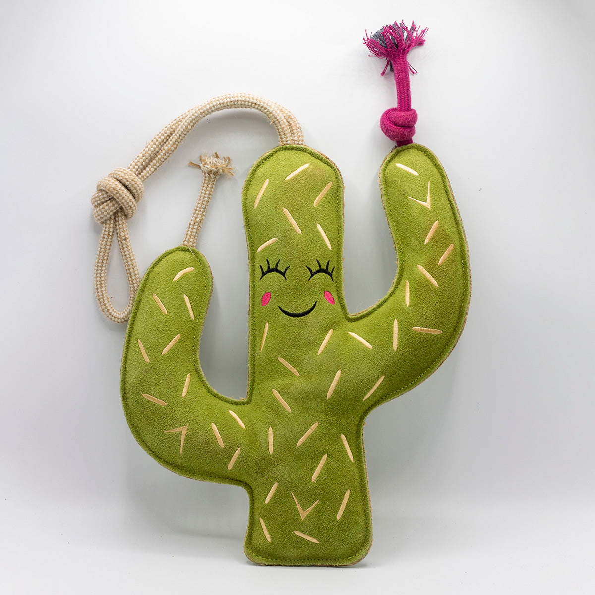 Green cactus-shaped dog toy with a smiling face - green and wilds
