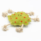 Green dog toy with red spots and rope handles