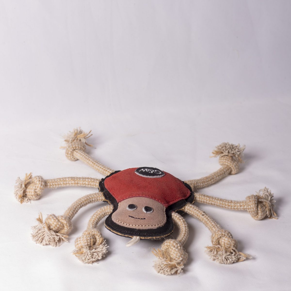 Spike the Spider image 1