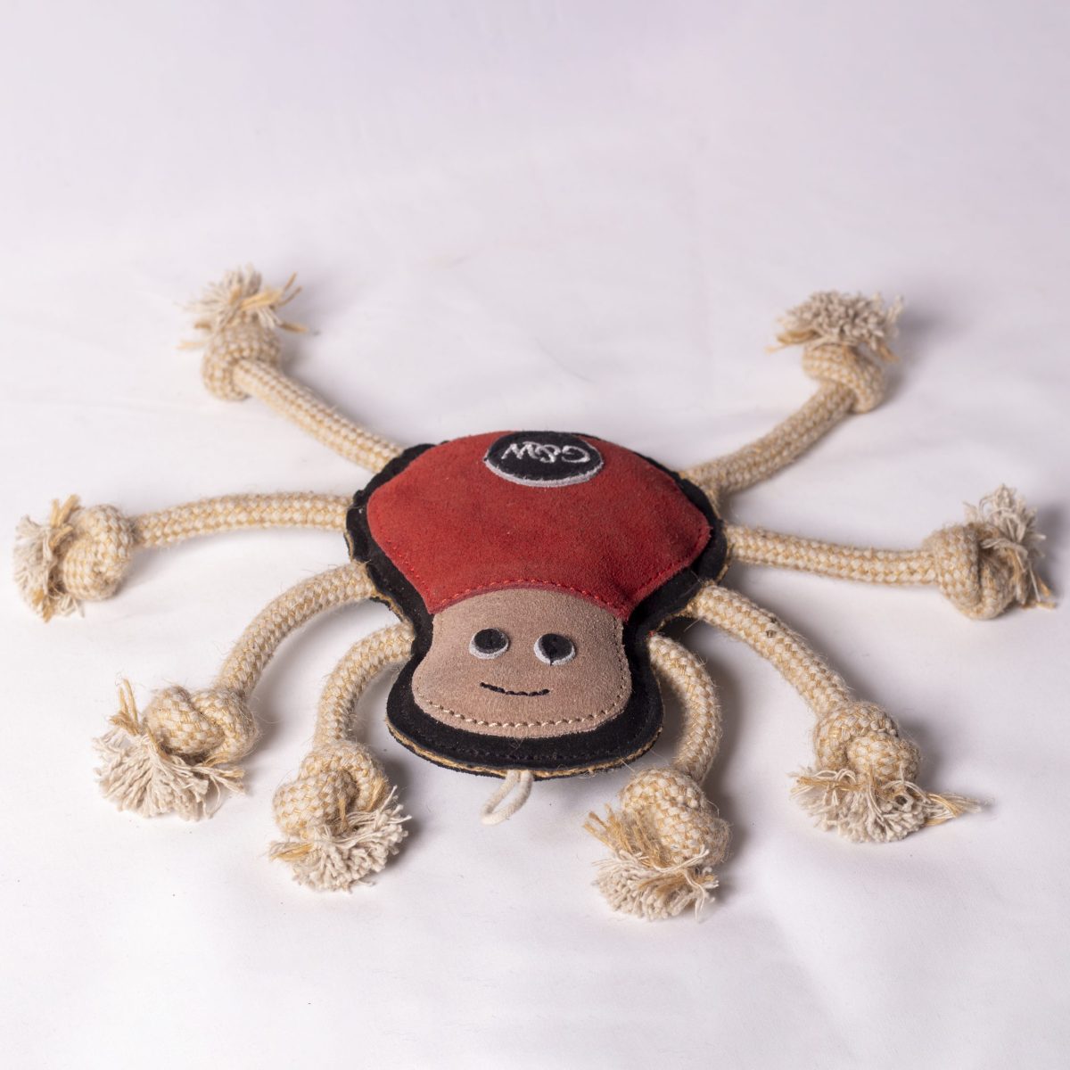 Spike the Spider image 0