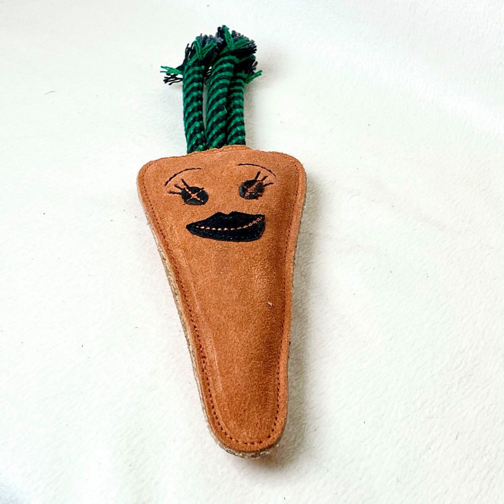 Candice the Carrot image 0