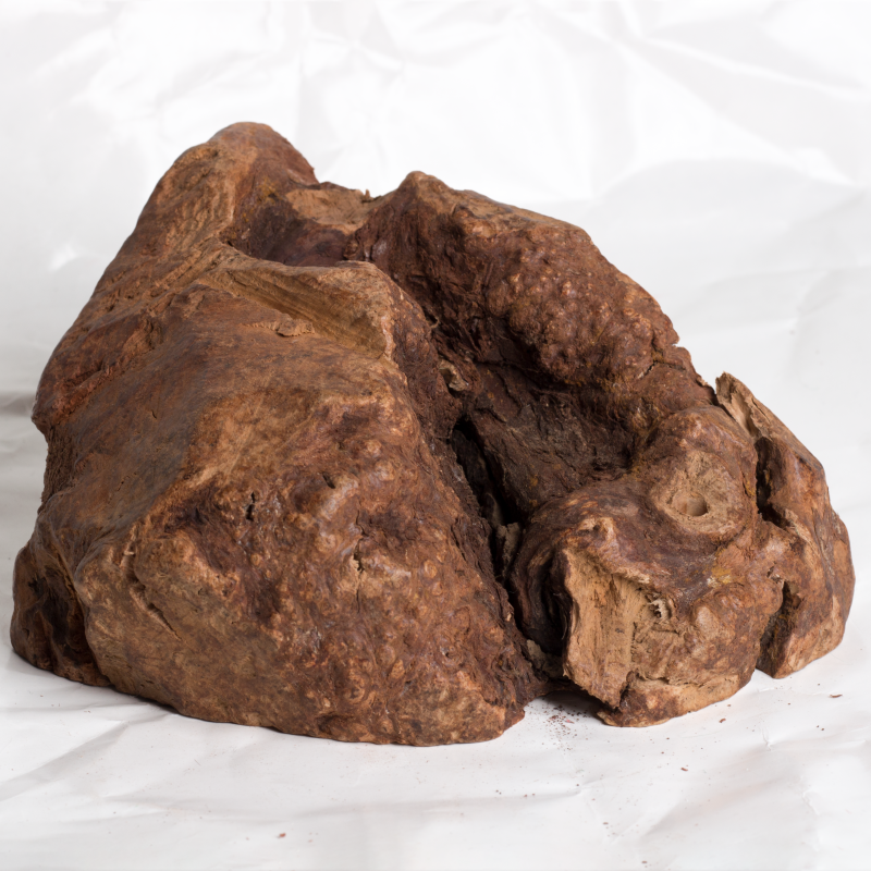 Chewroots image 2