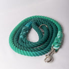 Rope Lead - Emerald image