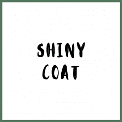 Shiny Coat